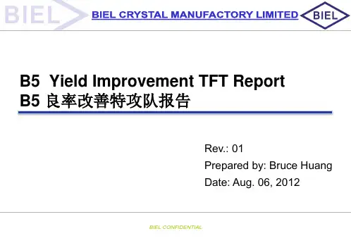 B5 Yield Improvement Report rev07