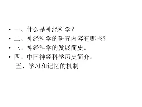 神经科学PPT课件