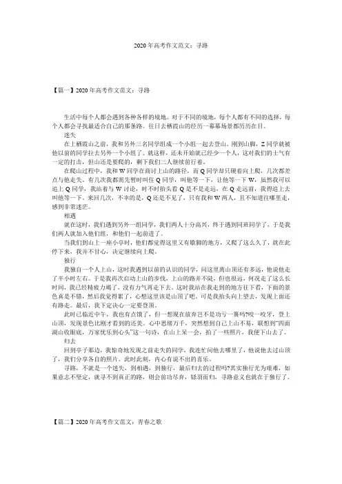 2020年高考作文范文：寻路