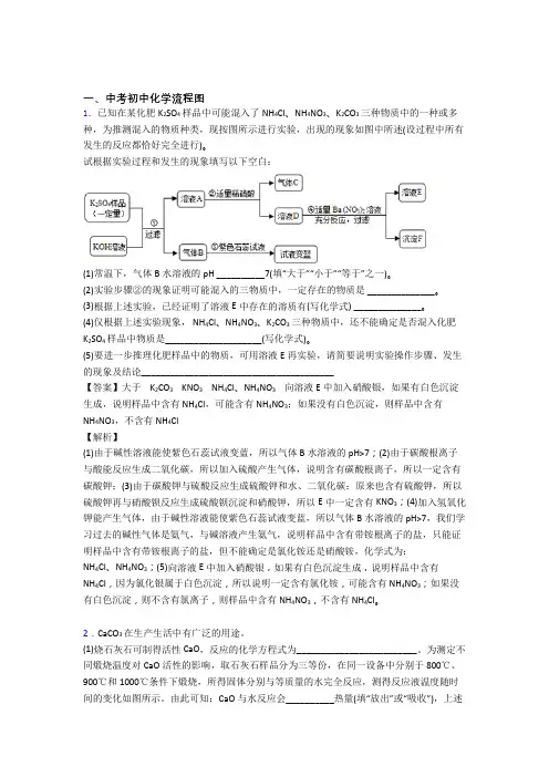 南京精选中考化学易错题专题复习流程图