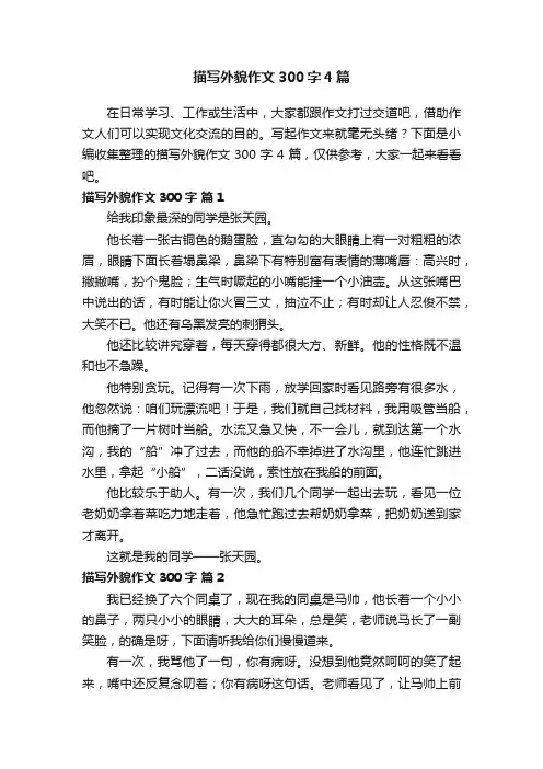 描写外貌作文300字4篇