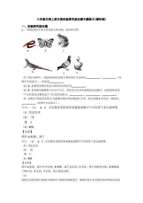 八年级生物上册生物实验探究综合题专题练习(解析版)