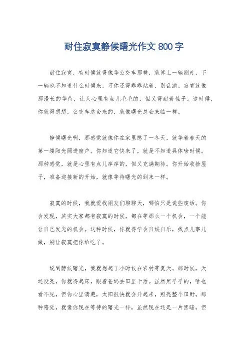 耐住寂寞静候曙光作文800字
