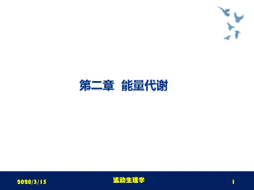 运动生理学课件第二章能量代谢