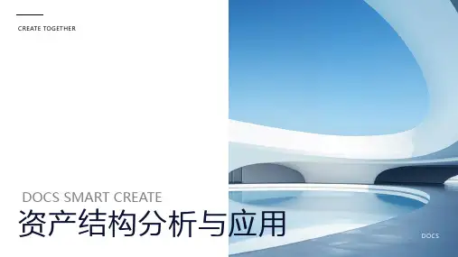 资产结构分析