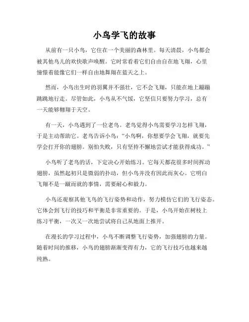 小鸟学飞的故事