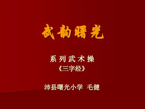 三字经 武术操 毛健 t