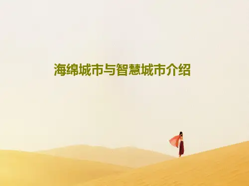 海绵城市与智慧城市介绍33页PPT
