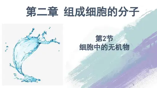 高中生物第一册 2 2 细胞中的无机物 课件 (思维导图)