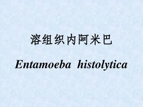 医学寄生虫学-溶组织内阿米巴(首都医科大学)