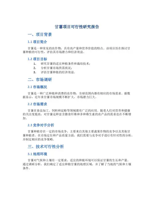 甘薯项目可行性研究报告