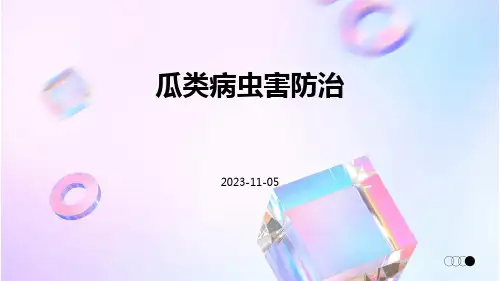 瓜类病虫害防治