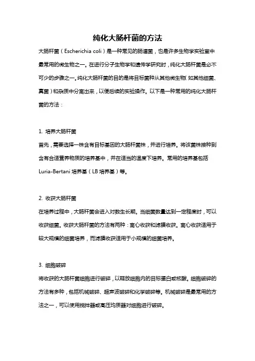 纯化大肠杆菌的方法