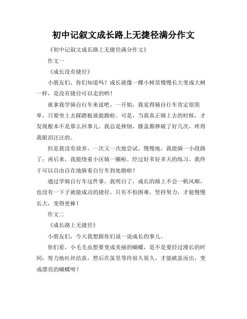初中记叙文成长路上无捷径满分作文