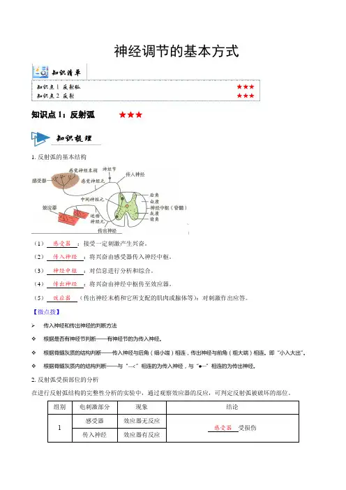 神经调节的基本方式(讲义)