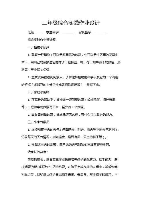 二年级综合实践作业设计