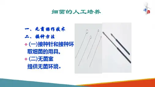 细菌检验技术—细菌的培养技术及培养现象的观察(微生物检验课件)