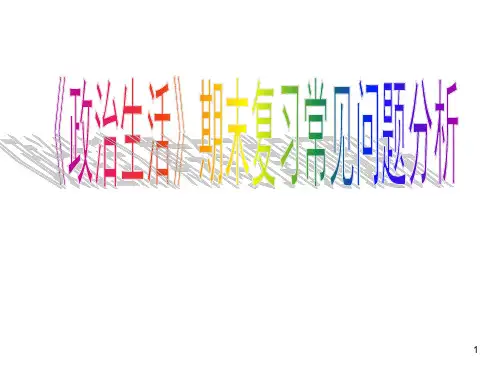 《政治常见错误》