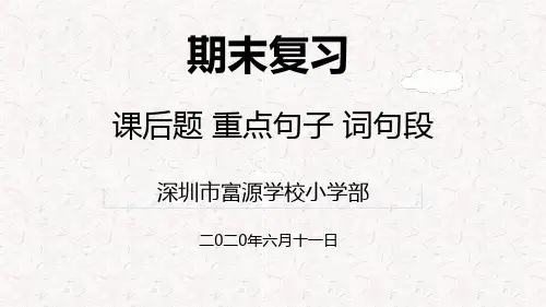部编版六年级下册语文期末复习之课后题 重点句子 词句段