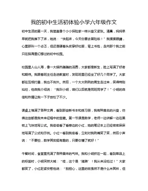 我的初中生活初体验小学六年级作文