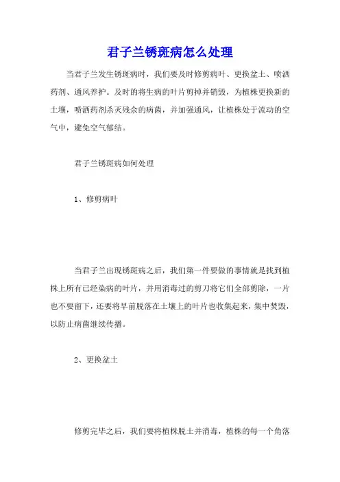 君子兰锈斑病怎么处理