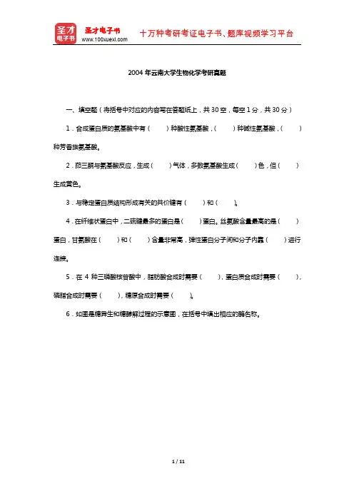 2004年云南大学生物化学考研真题【圣才出品】