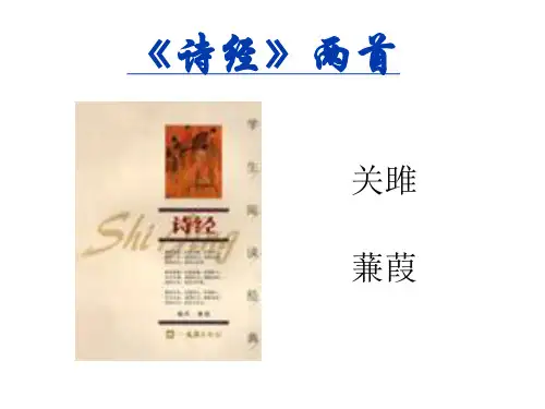 诗经两首《关雎》《蒹葭》ppt课件 