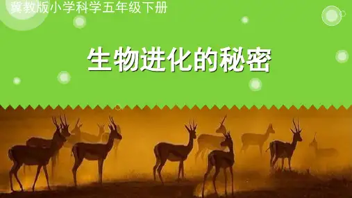 五年级下册科学课件12生物进化的秘密 冀教版 (共18页)PPT