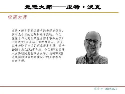 彼得沃克 作品分析
