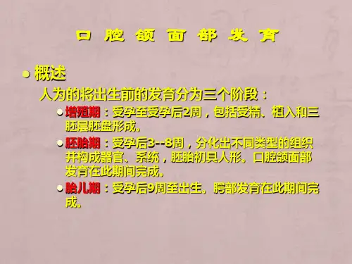 第一章口腔颌面部的发育