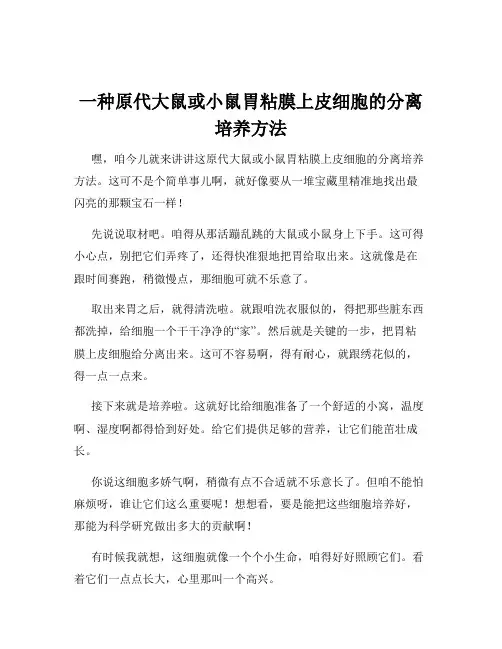 一种原代大鼠或小鼠胃粘膜上皮细胞的分离培养方法