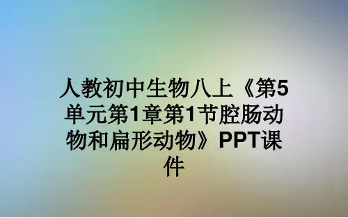 人教初中生物八上《第5单元第1章第1节腔肠动物和扁形动物》PPT课件