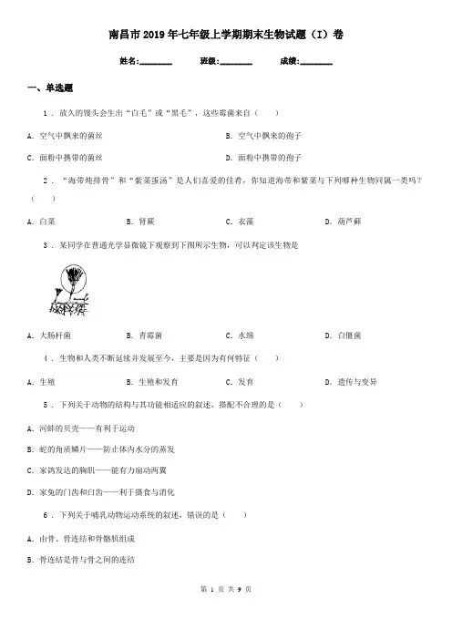 南昌市2019年七年级上学期期末生物试题(I)卷