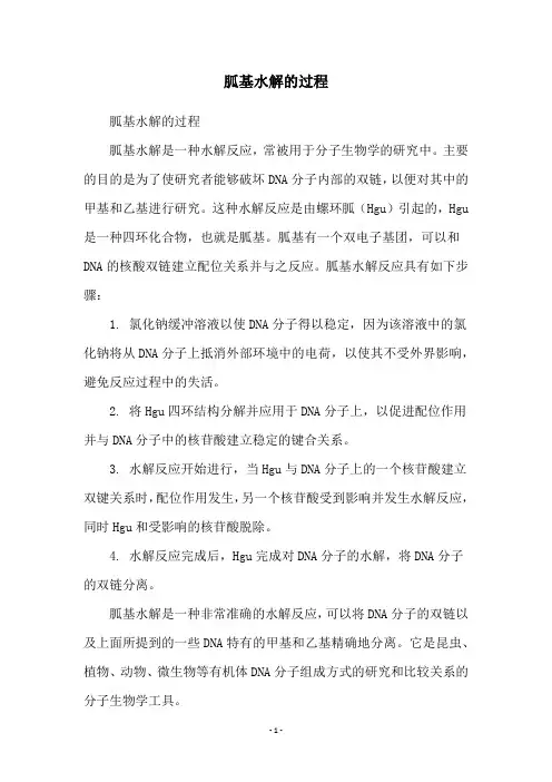 胍基水解的过程