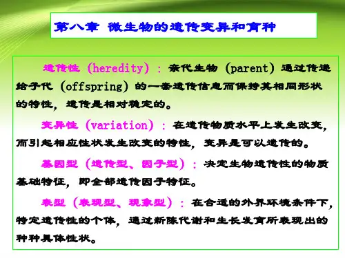 微生物学第八章微生物的遗传变异和育种课件PPT