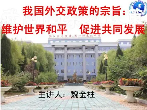 我国外交政策的宗旨(正式)