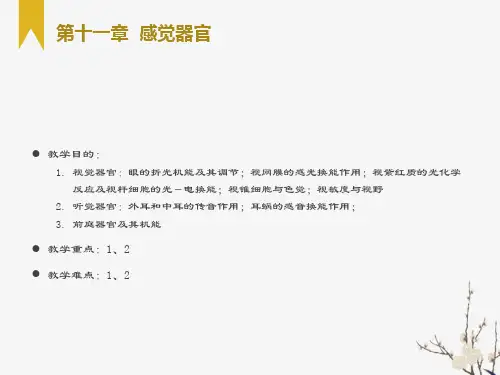 解剖生理学基础-第十一章感觉器官