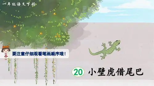 部编版一年级下语文第8单元《小壁虎借尾巴》生字讲解