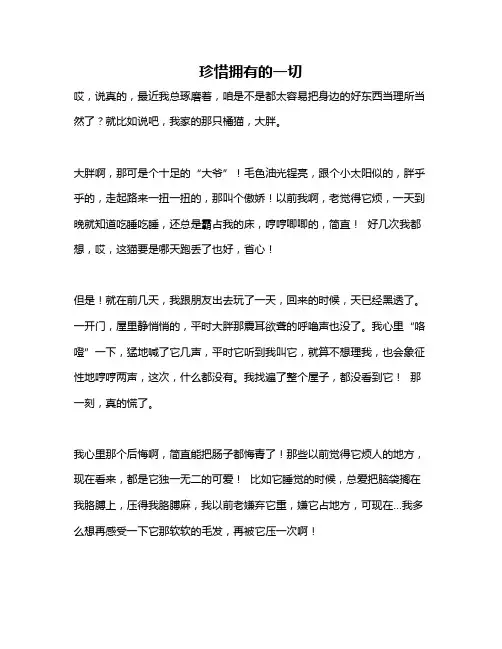 作文《珍惜拥有的一切》 2