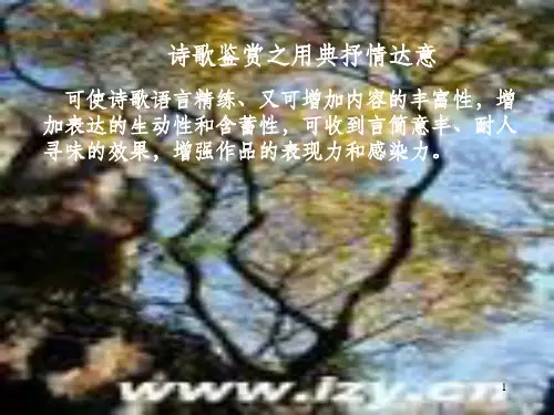 诗歌鉴赏之用典PPT课件