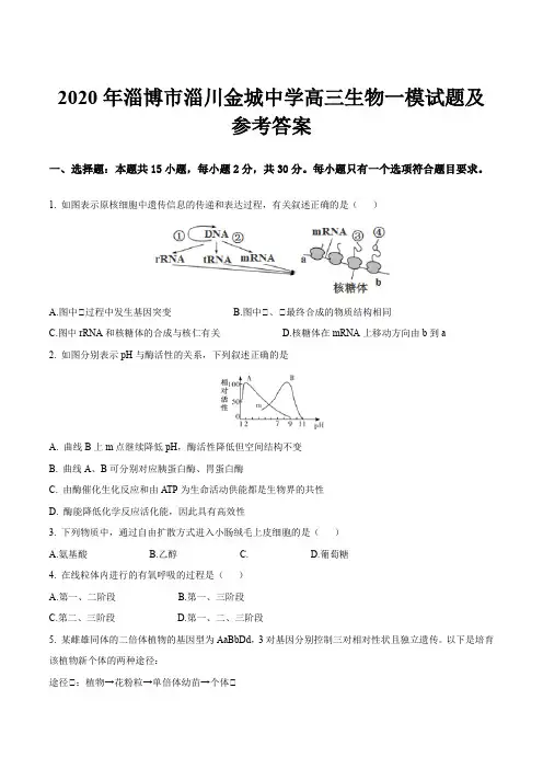 2020年淄博市淄川金城中学高三生物一模试题及参考答案