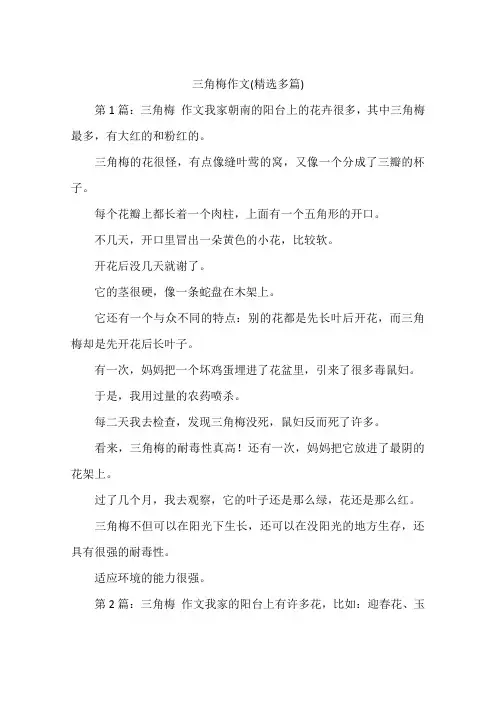 三角梅作文(精选多篇)