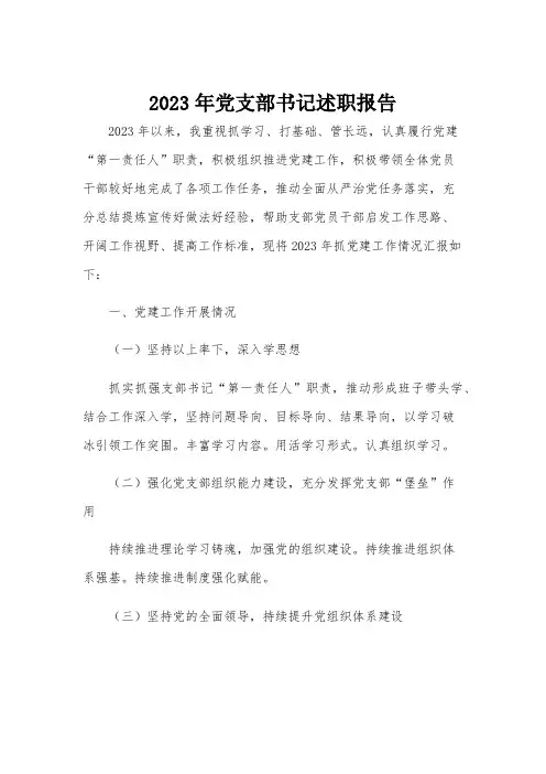 2023年党支部书记述职报告