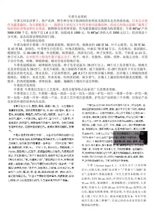 牛蒡专业知识讲解