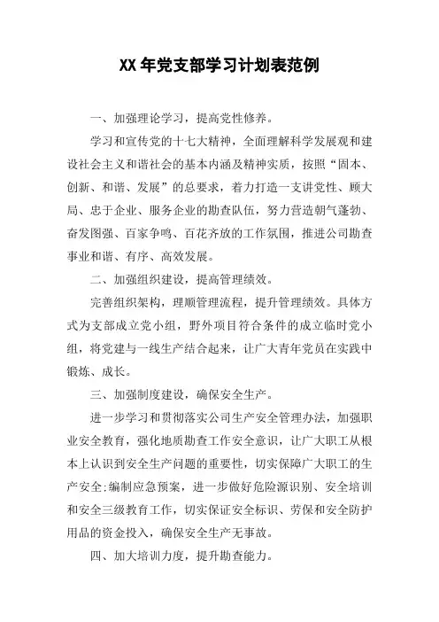 XX年党支部学习计划表范例