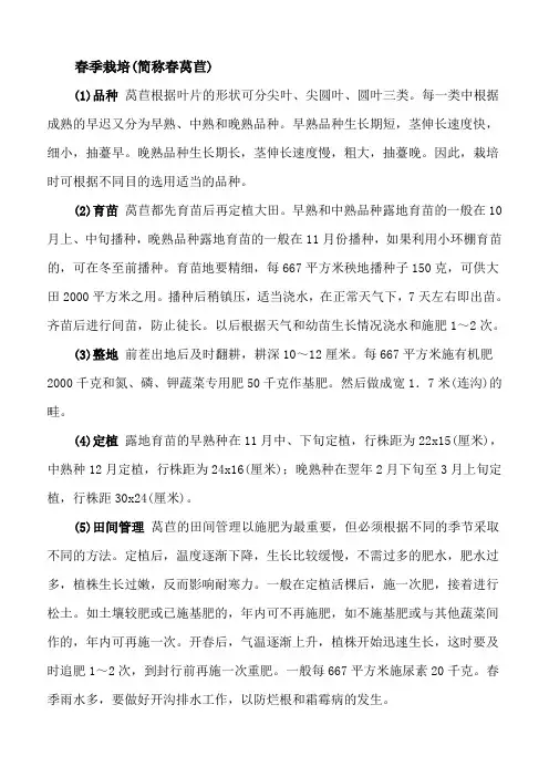 莴苣栽培方法