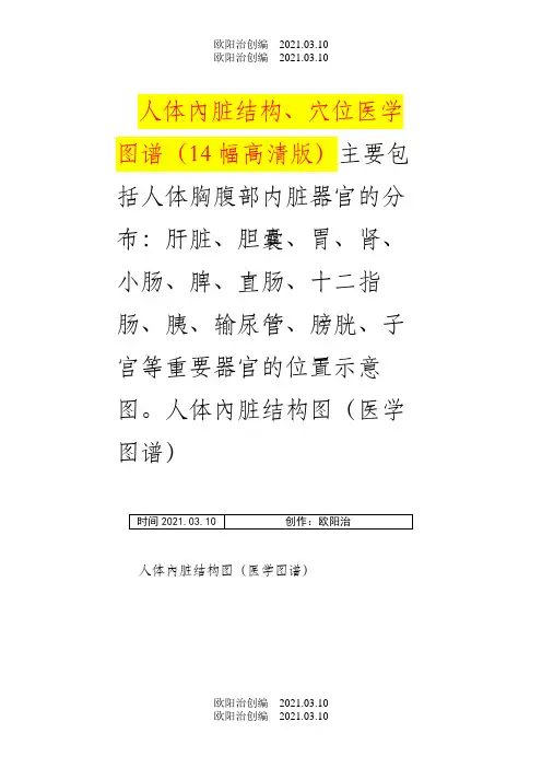 人体内脏结构、穴位医学图谱(14幅高清版)之欧阳治创编