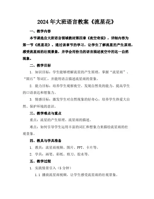 2024年大班语言教案《流星花》
