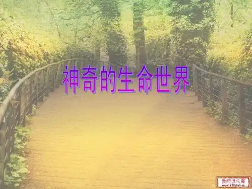 神奇的生命世界