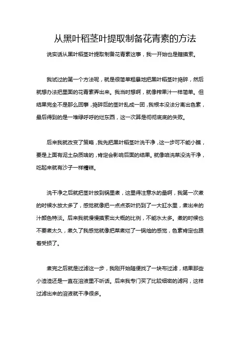 从黑叶稻茎叶提取制备花青素的方法